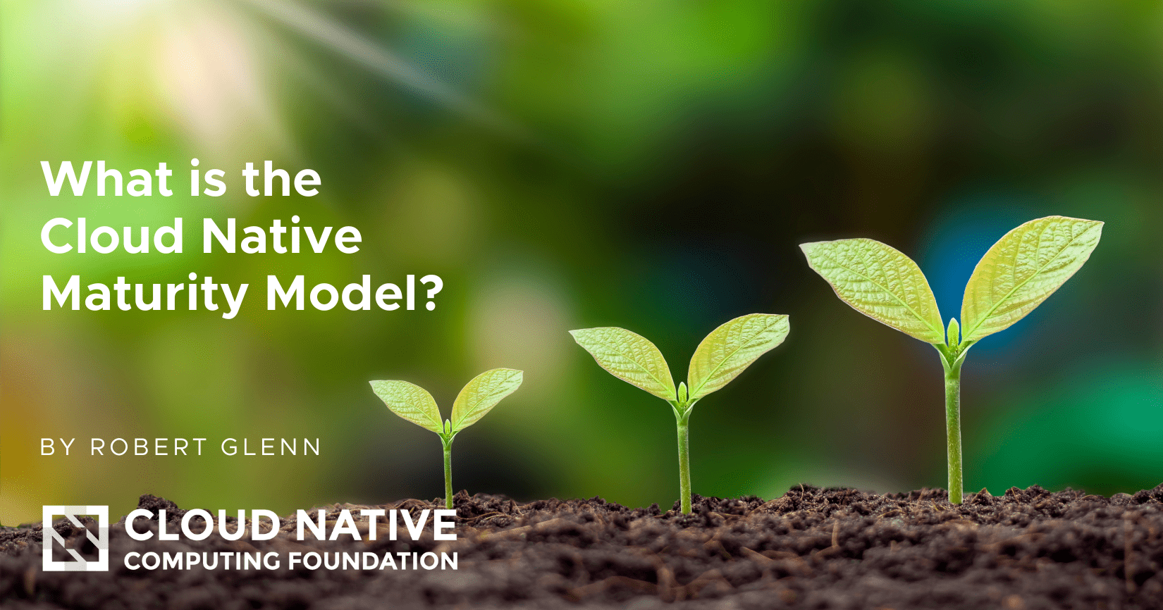 What is the Cloud Native Maturity Model (and why do I care)? | CNCF