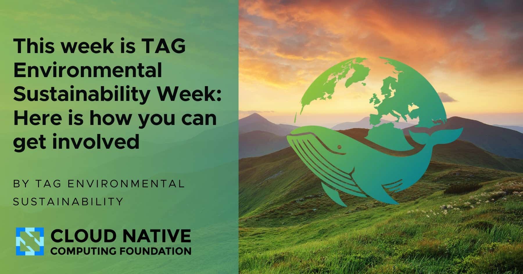 TAG Environmental Sustainability Week is here: a global call for green tech